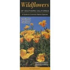 Wildflowers of Southern California: A Guide to Common Native Species Other, Quick Reference Publishing, Inc