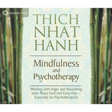 Mindfulness & Psychotherapy Compact Disc, Sounds True