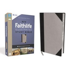 NIV Faithlife Illustrated Study Bible Imitation Leather Gray/Black: Biblical Insights You Can See Imitation Leather, Zondervan