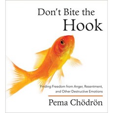 Don't Bite the Hook: Finding Freedom from Anger Resentment and Other Destructive Emotions Compact Disc, Shambhala Publications