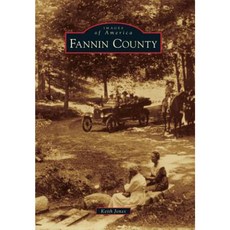 Fannin County Paperback, Arcadia Publishing (SC)