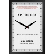 Why Time Flies: A Mostly Scientific Investigation Paperback, Simon & Schuster