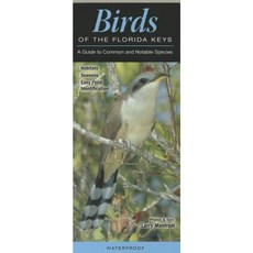 Birds of the Florida Keys: A Guide to Common and Notable Species Other, Quick Reference Publishing, Inc