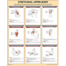 Stretching Poster: Upper Body Other