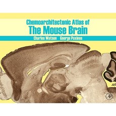 小鼠大腦化學結構圖譜精裝本, 學術出版社