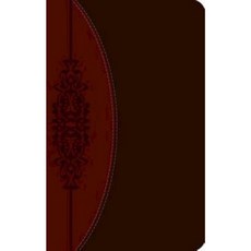 Wesley Study Bible-Ceb Imitation Leather, Common English Bible