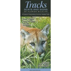 Tracks Scats & Signs of Florida Wildlife: A Guide to Interpreting Common Wildlife Trails Other, Quick Reference Publishing, Inc