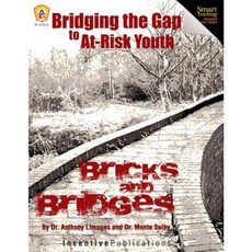 Bricks and Bridges: Bridging the Gap to At-Risk Youth Paperback, Incentive Publications