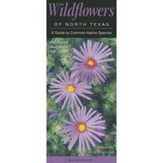 Wildflowers of North Texas: A Guide to Common Native Species Other, Quick Reference Publishing, Inc
