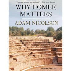 Why Homer Matters MP3 CD, Tantor Audio