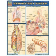 Respiratory System Loose Leaf, Barcharts