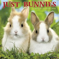 Just Bunnies 2018 Wall Calendar Wall, Willow Creek Press Calendars