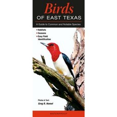 Birds of East Texas: A Guide to Common & Notable Species Paperback, Quick Reference Publishing, Inc