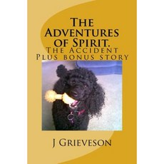The Adventures of Spirit. the Not So Pedigree Poodle.: The Accident Paperback, Createspace Independent Publishing Platform