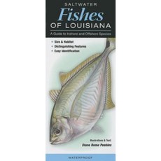 Saltwater Fishes of Louisiana: A Guide to Inshore & Offshore Species Other, Quick Reference Publishing, Inc