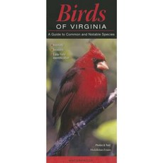Birds of Virginia: A Guide to Common & Notable Species Other, Quick Reference Publishing, Inc