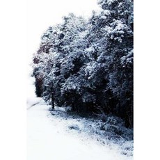 Snow Notebook Paperback, Createspace Independent Publishing Platform