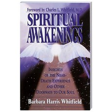 Spiritual Awakenings: Insights of the Near-Death Experience and Other Doorways to Our Soul Paperback, Hci