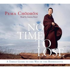 No Time to Lose: A Timely Guide to the Way of the Bodhisattva Compact Disc, Shambhala Audio