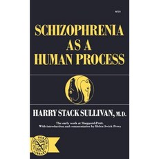 Schizophrenia as a Human Process Paperback, W. W. Norton & Company