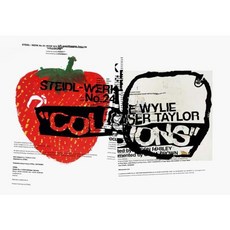 Rose Wylie and Fraser Taylor: Collisions: Steidl-Werk No. 24 Hardcover, Steidl Dap
