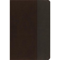 NIV Quest Study Bible Imitation Leather Brown/Gray Indexed: The Question and Answer Bible Imitation Leather, Zondervan