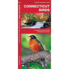 Connecticut Birds: A Folding Pocket Guide to Familiar Species Other, Waterford Press