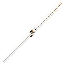 Narye名作銀河電子釣魚浮漂 大 L290 2入+中 L260, 混色, 1套
