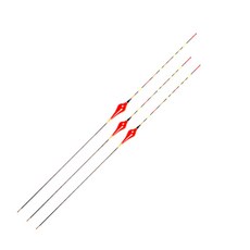 Naruye Hoya 電子燉鍋套組中號+小號 2p, 混色, 1套
