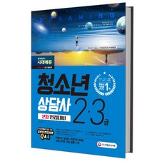 2018 청소년상담사 2급 3급 2차 면접대비 개정판, 시대고시기획