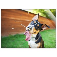 더윤 레티나 모던시계 42 x 30 cm ANI0049, 혼합 색상