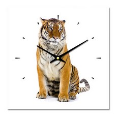 더윤 레티나 모던시계 30 x 30 cm ANI0033, 혼합 색상