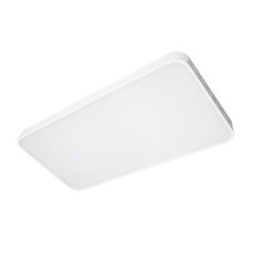 LED 스노우 거실 2등 50W WM-1812ALM-50-1