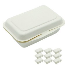 DONNA&DECO 基本款長方形外帶盒 M號, 1件, 10個