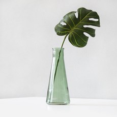 블루밍앤미 조화 몬스테라 clean 유리병 대, 그린, 1개