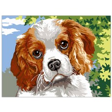 헬로페인팅 그림그리기 DIY 풀 세트 20 x 30 cm EX5275, 혼합 색상, 1개