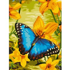 헬로페인팅 그림그리기 DIY 풀 세트 20 x 30 cm EX5080, 혼합 색상, 1개