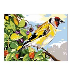 헬로페인팅 DIY 그림그리기 풀세트 30 x 40 cm EX5640, 혼합 색상, 1개