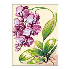 헬로페인팅 DIY 그림그리기 풀세트 30 x 40 cm EX5637, 혼합 색상, 1개