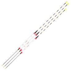 電子浮標組合 L號 2入+Ｍ號, 混色, 1套