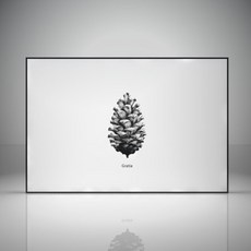 Myungsin Renown Wellroom 廚房畫板 Gratia, 1個