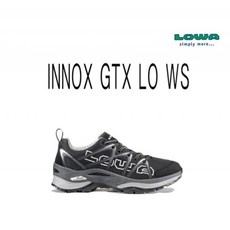 LOWA 運動鞋 GTX LO WS 245