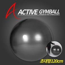 아따산 액티브 짐볼, 블랙