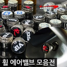 레이스텍 티몰 프리미엄 에어밸브, 싼타페DM, 1개