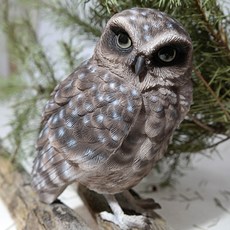 마그넷 버드 빌 굴 올빼미 인테리어 장식품, 혼합 색상