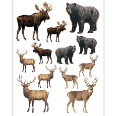 시트나라 엑센트데코 포인트 스티커 IS-3670 2p, WILD LIFE