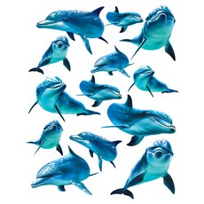 시트나라 엑센트데코 포인트 스티커 IS-3168 2p, DOLPHINS