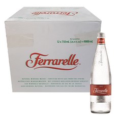 디사이드 페라렐레 내츄럴 스파클링 미네랄 워터 실버 탄산수, 750ml, 12개