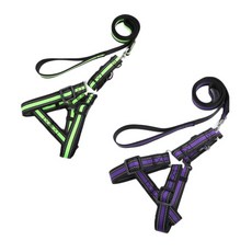 펫나인 안전 나일론 투톤 반려동물 리드줄 세트 L, 그린, 퍼플, 2세트