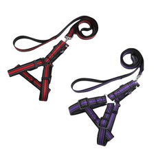 펫나인 안전 나일론 투톤 반려동물 리드줄 세트 L, 레드, 퍼플, 2세트